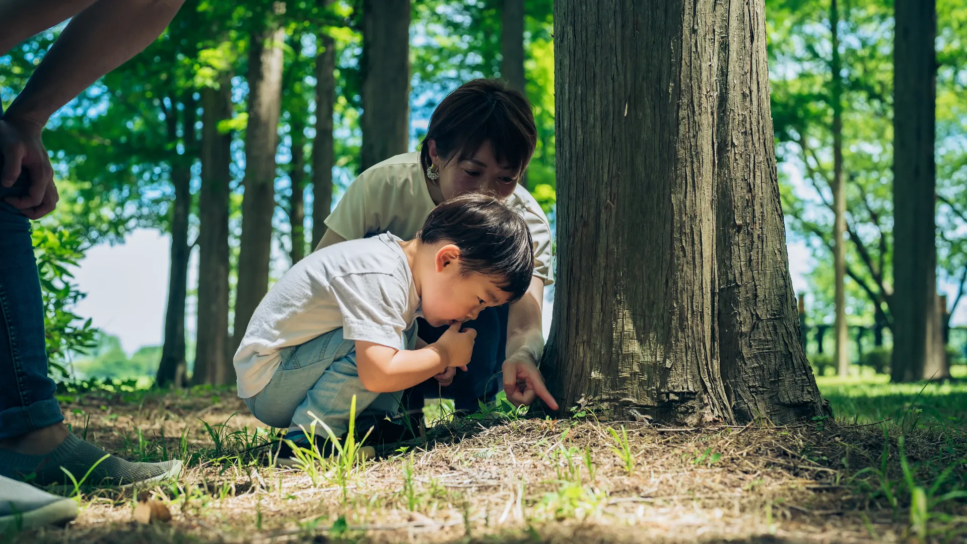 ファミリーキャンプに最適‼️ 知って得する子供と楽しむキャンプ活動