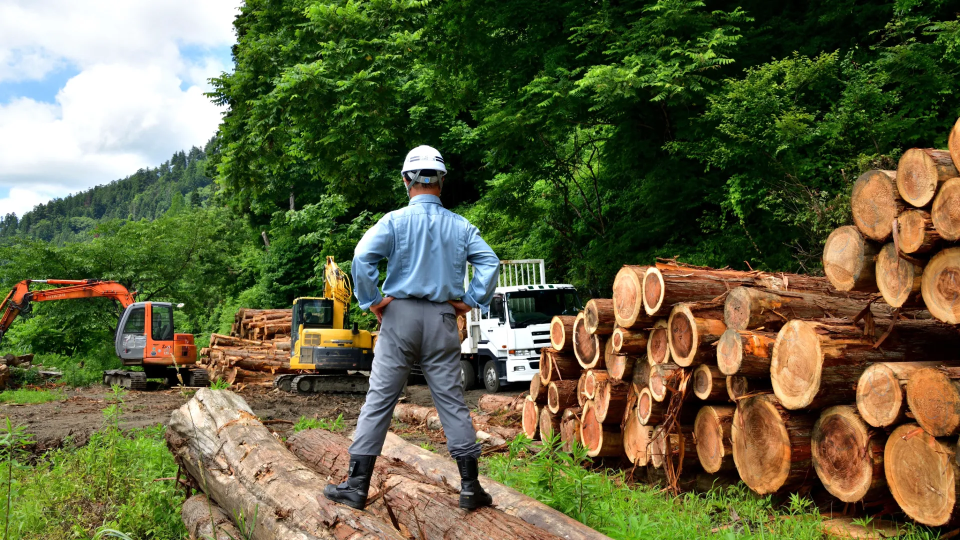 日本の木材産業の発展と変化